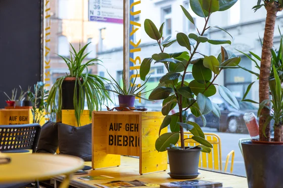 Jeden Mittwoch – Biebricher Sofagespräche